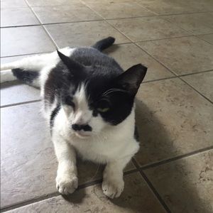 Meet your Posher, Kris